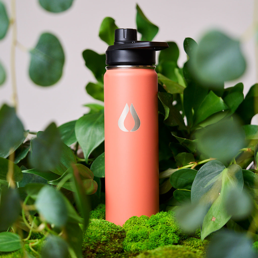 Vattenflaska - 650ML - Peach